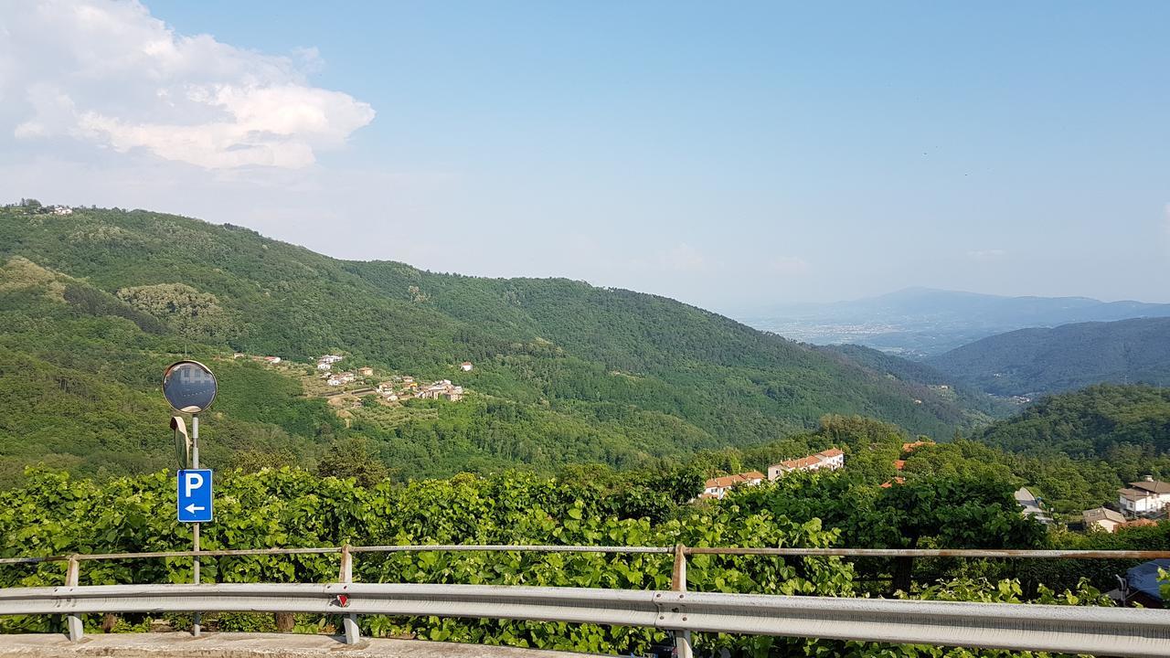 Amelia Dream View Hotel Momigno Buitenkant foto